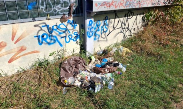 Porzucone śmieci przy al. Solidarności. Sprawca ukarany mandatami (zdjęcia)