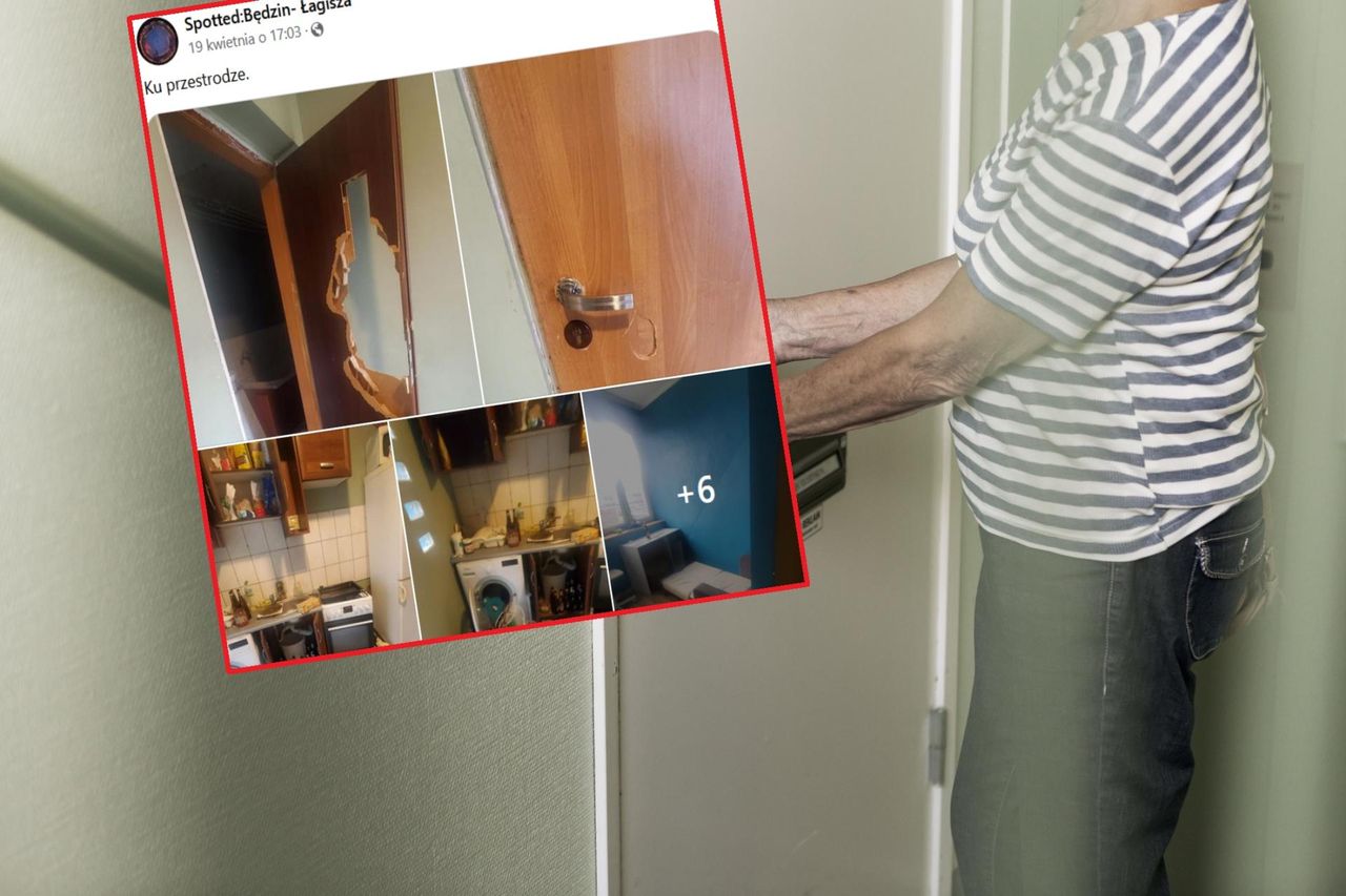 Rodzina z trójką dzieci wynajęła mieszkanie. W takim stanie zastała je właścicielka