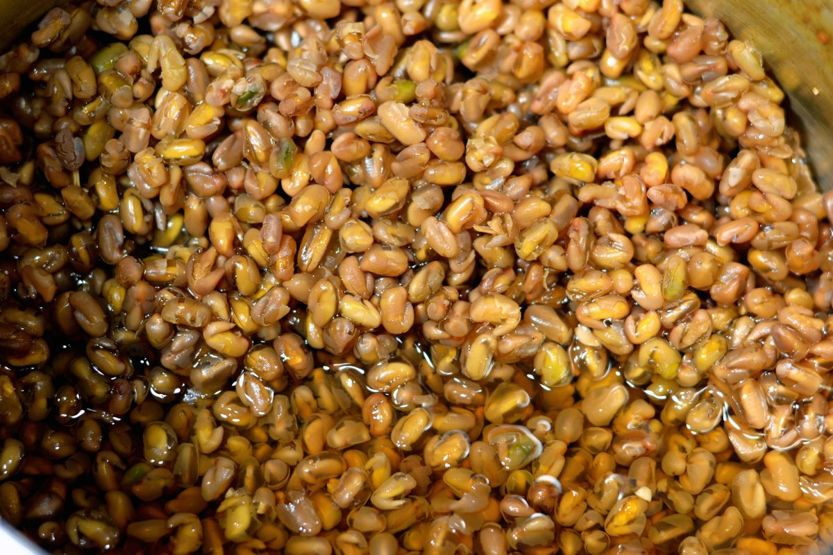 Wrzuć ją do zupy. Wyregulujesz cholesterol, a serce będzie bić jak dzwon