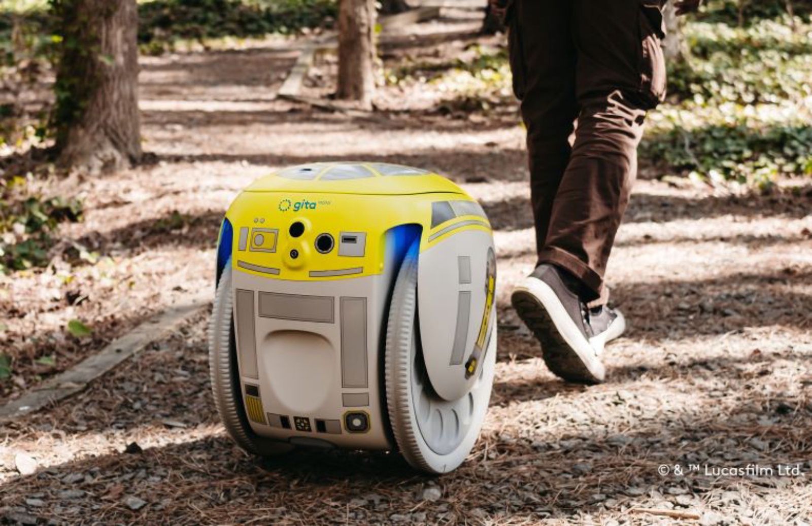 Droid G1T4-M1N1