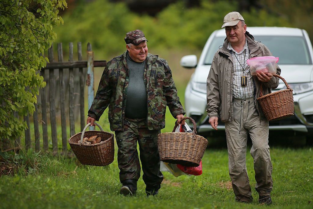 W lasach pojawia się coraz więcej grzybów