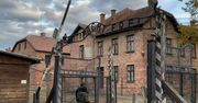Muzeum Auschwitz apeluje o przekazywanie pamiątek poobozowych