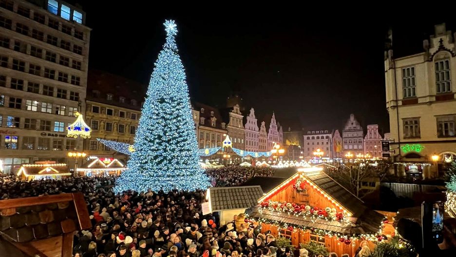 Choinka w Rynku
