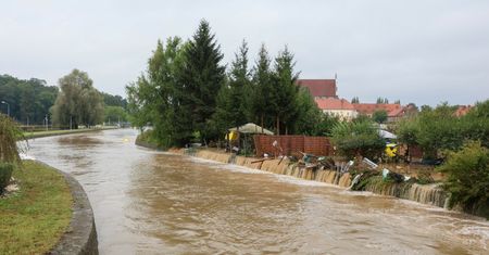 Koń we wzburzonym nurcie. Płynął z Czech