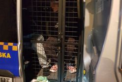 Warszawa. Niszczyli plakat wyborczy. Zostali zatrzymani