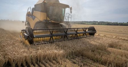 Eksport zboża. Ukraina stawia nowe warunki