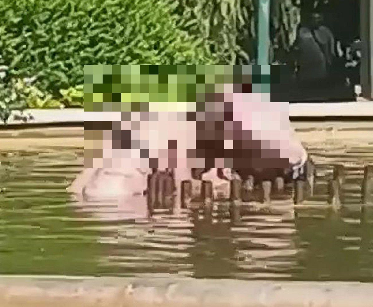 Chciał utopić kobietę w fontannie. Przechodnie ruszyli na ratunek