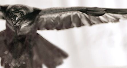 Lis, Mann, Torbicka, Szaranowicz i Żmijewski promują TVP (wideo)