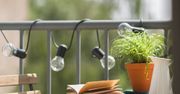 Całoroczne pnącza na balkon
