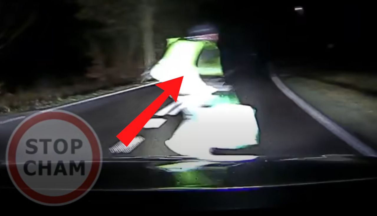 Wstrząsające sceny. Nagle wbiegł na jezdnię. Wszystko się nagrało