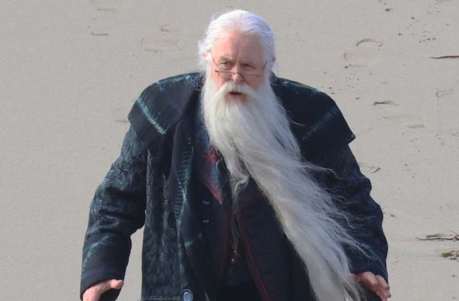 Nowy Dumbledore