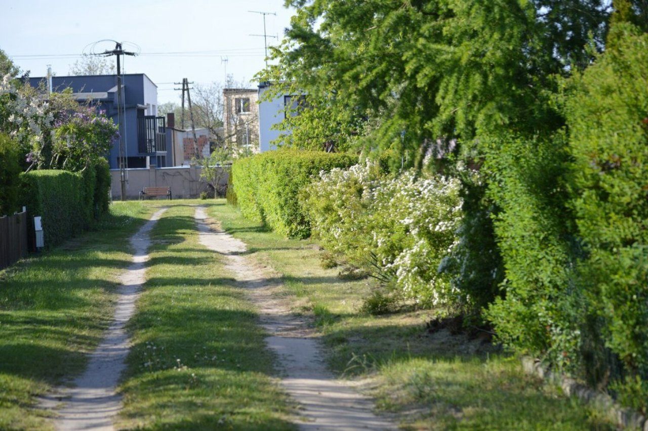 ogród