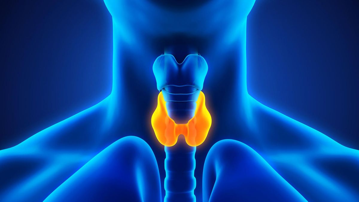 Tarczyca [123rf.com]