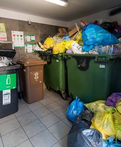 Jesteś pewien, że dobrze segregujesz śmieci? Sprawdź się