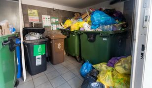 Jesteś pewien, że dobrze segregujesz śmieci? Sprawdź się