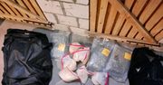 30-latek prowadził internetowy sklep z narkotykami. Wysyłał je odbiorcom przez automaty paczkowe