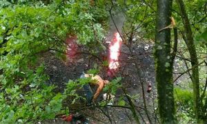 Fotopułapka nagrała mężczyznę w lesie. To nie mieści się w głowie