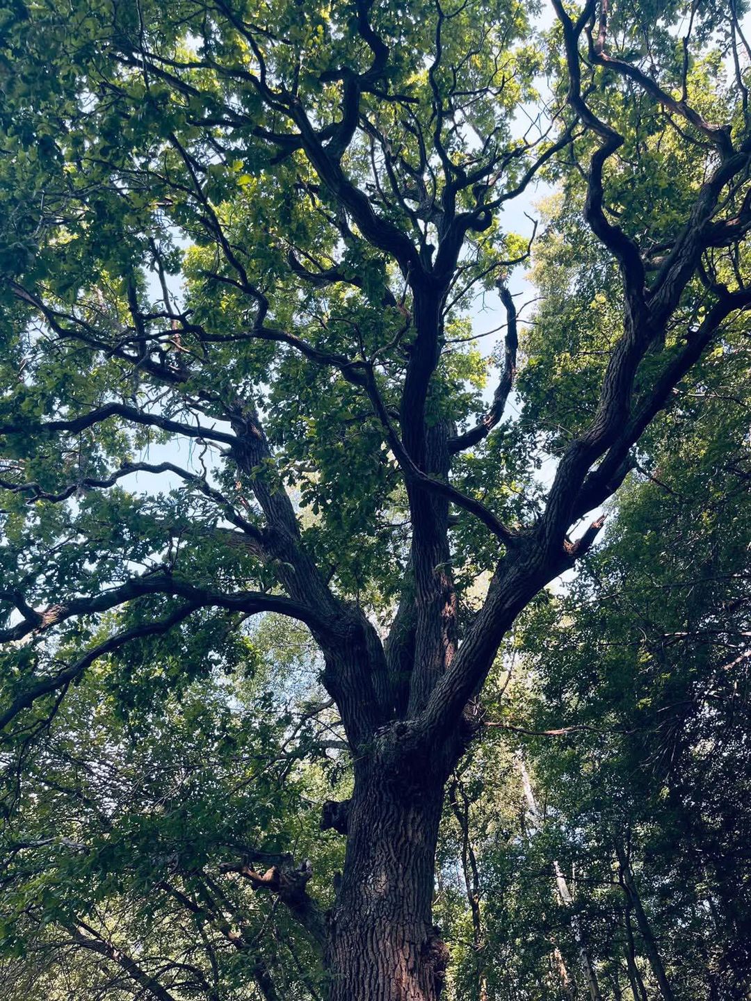 Wpis Helskiego Cypla na listę UNESCO to nasze marzenie