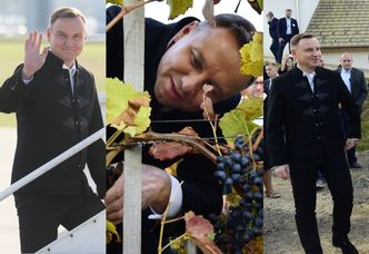 Ludowy Andrzej Duda zbiera winogrona na węgierskim szczycie V4 (ZDJĘCIA)