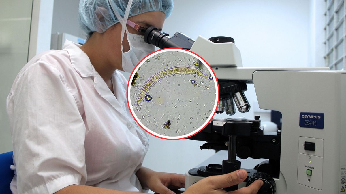 "Robak zombie" ożył po 24 tysiącach lat