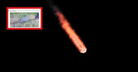 Co spadło na pole w Wielkopolsce? To może być fragment Falcon 9