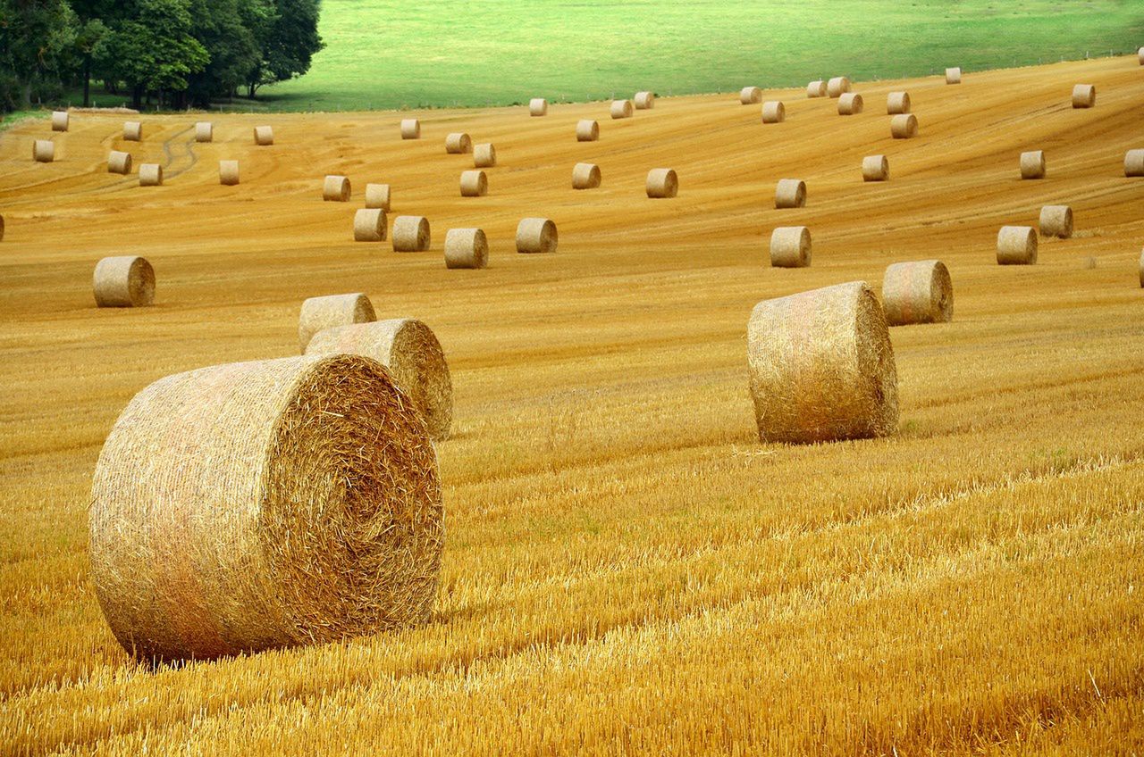Rolnicy nagrodzeni w regionalnym etapie konkursu
