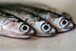 Nowe rosyjskie sankcje czy próba manipulacji polskimi szprotami?