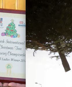 Polka z Irlandii straciła 650 tysięcy funtów. Wszystko przez rzut choinką