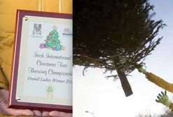 Polka z Irlandii straciła 650 tysięcy funtów. Wszystko przez rzut choinką