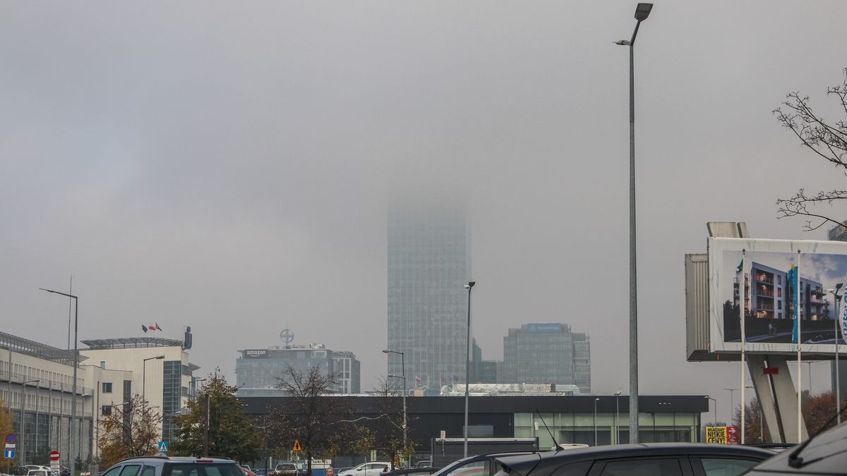 Nowy Program Ochrony Powietrza ma zmniejszyć zanieczyszczenia powietrza