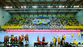 LM: EHF wyróżniła kibiców Vive Tauronu Kielce (foto)