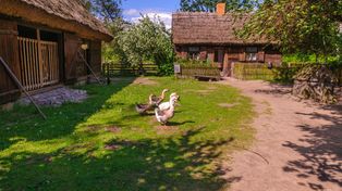 Grodzisk Mazowiecki: Malownicze miasto niedaleko Warszawy. Czekają tu stawy, zabytki i ślady słynnego malarza. Doskonałe miejsce na jednodniową wycieczkę