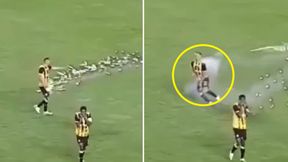 Szokujący moment. Został trafiony fajerwerkami