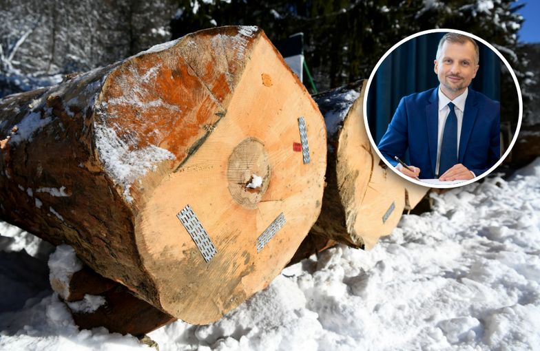 Mikołaj Dorożała zapowiada uszczelnienie systemu ws.
