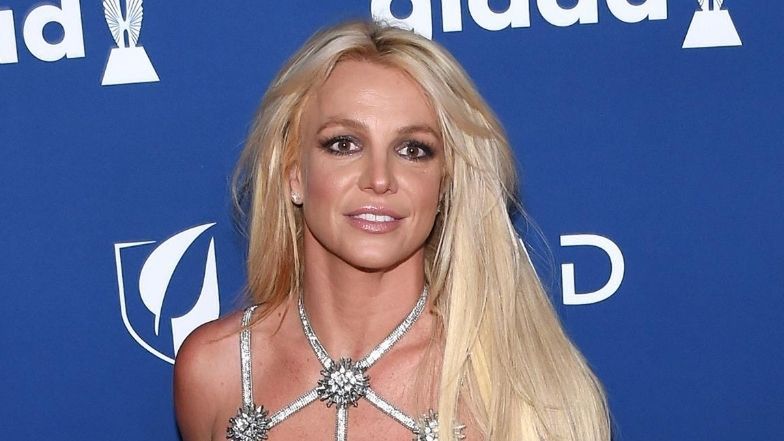 Ojciec Britney Spears uderza w jej fanów
