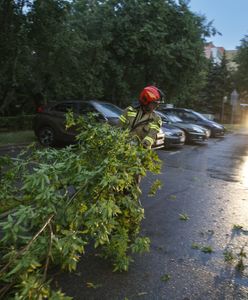Nawet 90 km/h. Ostrzeżenia o wietrze, szczególnie w jednym województwie