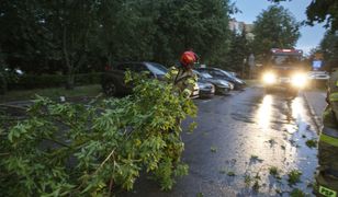 Nawet 90 km/h. Ostrzeżenia o wietrze, szczególnie w jednym województwie