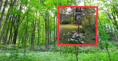 Leśnicy wieszają tabliczki, a turyści śmiecą. Pani Anna: sprzątam sama