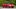 Amerykanie chcą leasingować klasyczne ferrari. W ofercie nawet 275 GTB i F40