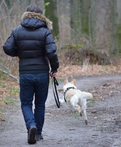 "Lekarze nie wyrabiają". Szokujące zdjęcie po ataku kleszczy