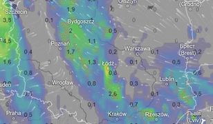 Już wszystko jasne. Prognoza pogody na długi weekend