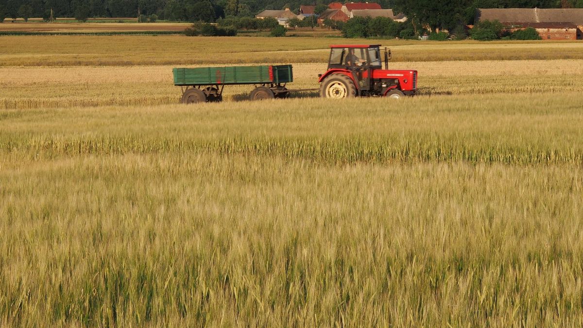 Od kilku lat obowiązują bardzo surowe zasady obrotu ziemią. Ograniczenia powodują wiele problemów praktycznych