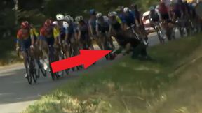 Kolejny skandal na Vuelcie. Nagle wybiegł z krzaków