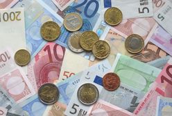 Euro w Polsce w 2025 roku? Ekonomiści komentują scenariusz szybkiego przyjęcia wspólnej waluty
