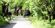 Brutalny rozbój na Czechowie. Nieletni sprawcy zatrzymani i osadzeni w ośrodkach