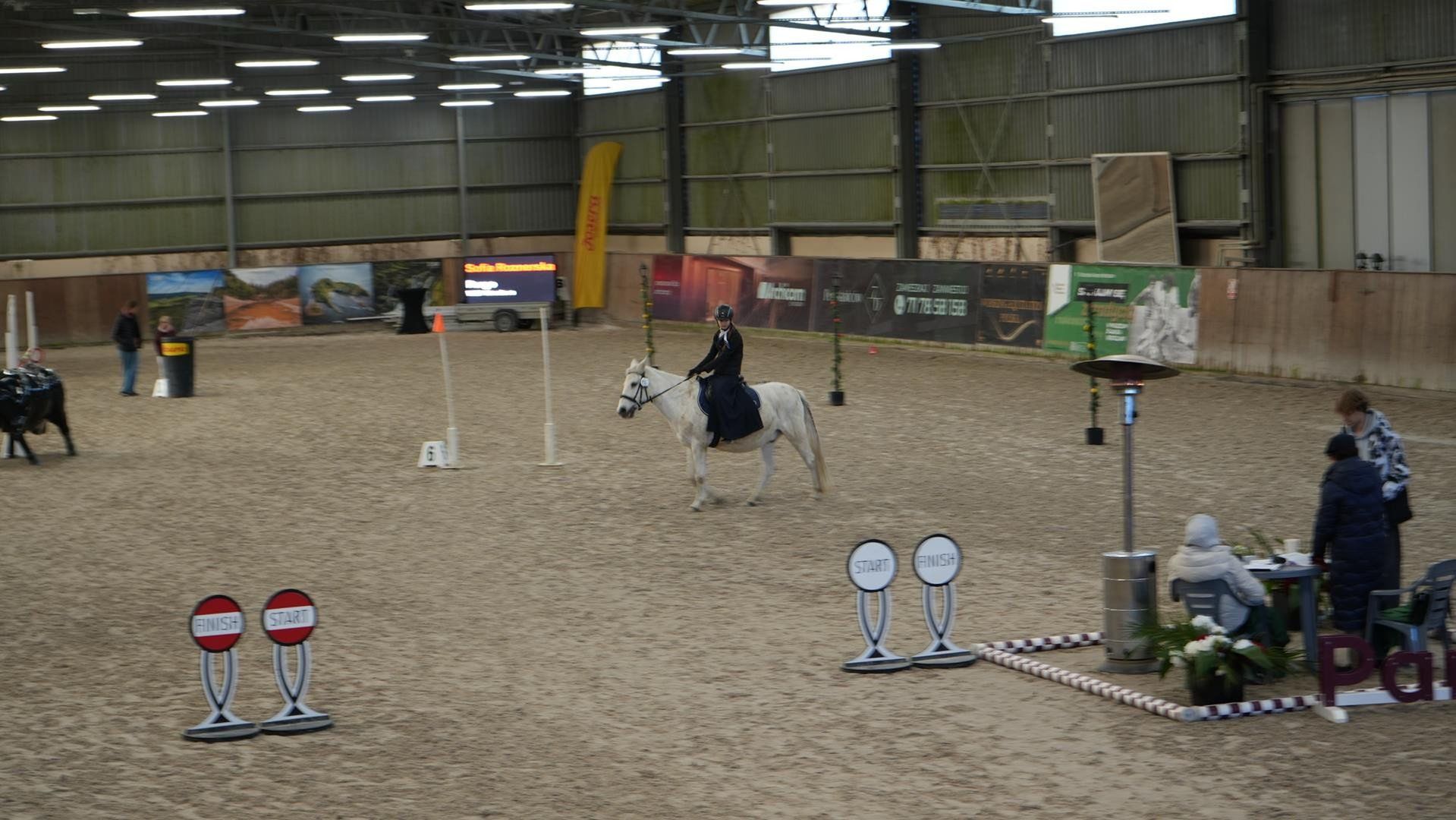 Mistrzostwa Polski Working Equitation 2025 we Wrocławiu