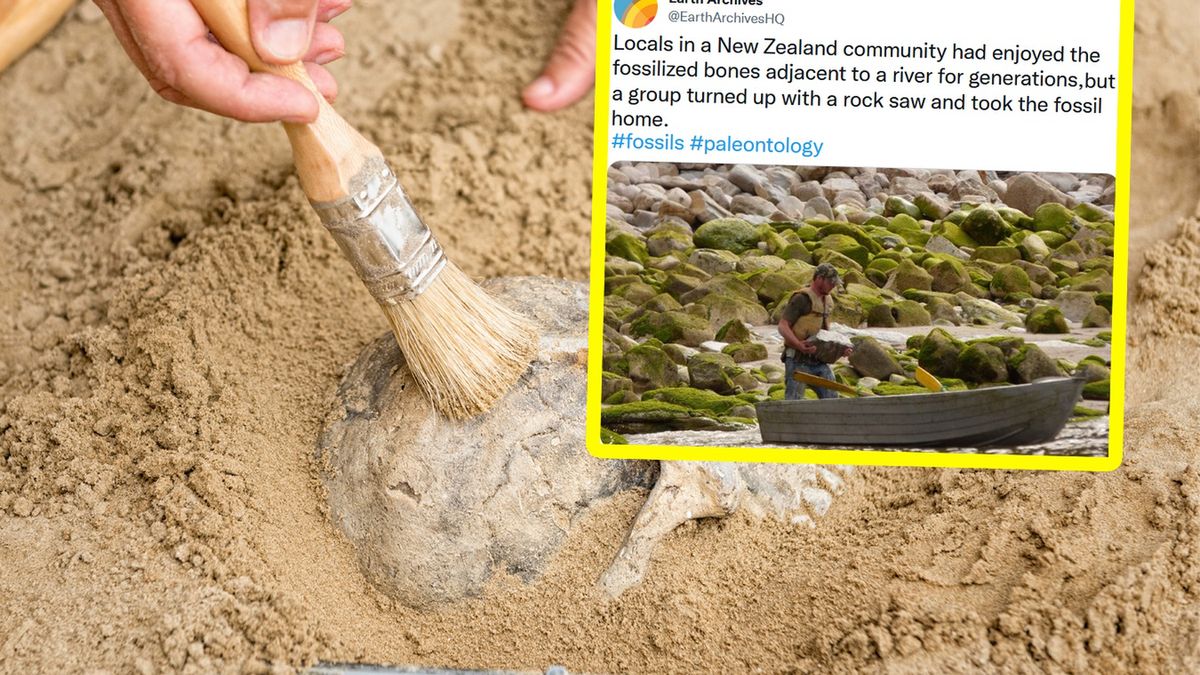 Szczątki wieloryba zostały załadowane przez złodziei na łódkę