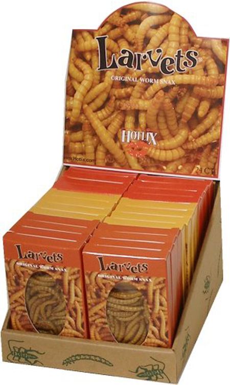 14 przepysznych jadalnych insektów 5