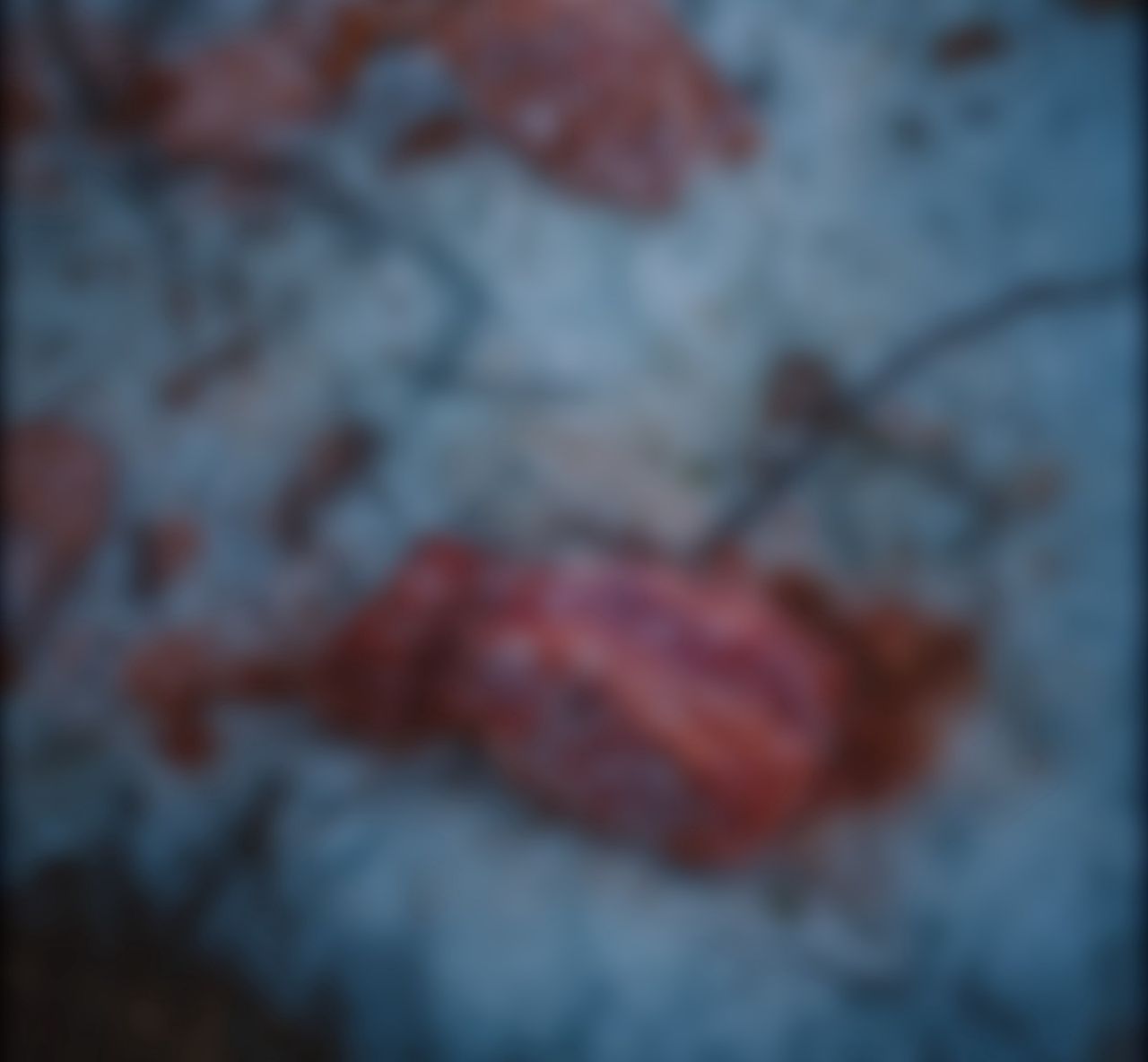 130 kg znalezione w potoku. Sprawca zgłosił się sam