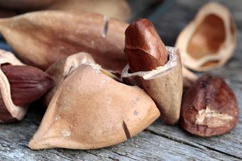 Migdały i pistacje pójdą w zapomnienie. Te orzechy rozpływają się w ustach jak masło